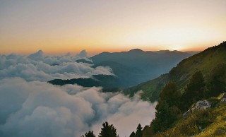 0149导航：数据可视化：年报：仅供查询与学习，2020导航市场份额