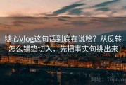 糖心Vlog这句话到底在说啥？从反转怎么铺垫切入，先把事实句挑出来